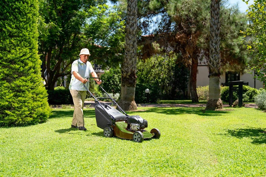 self push mower